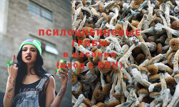 гидропоника Наволоки