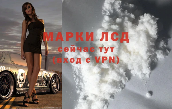 спайс Магас