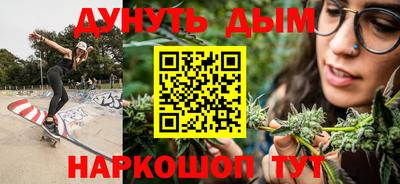 сатива Гатчина