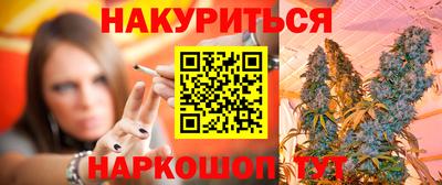 сатива Гатчина
