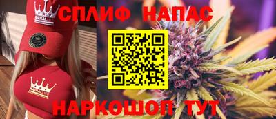 сатива Гатчина