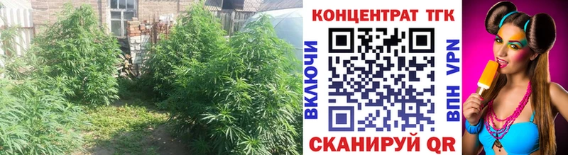 Дистиллят ТГК концентрат  где купить наркотик  Дзержинск 