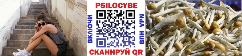 Псилоцибиновые грибы Magic Shrooms  Дзержинск 