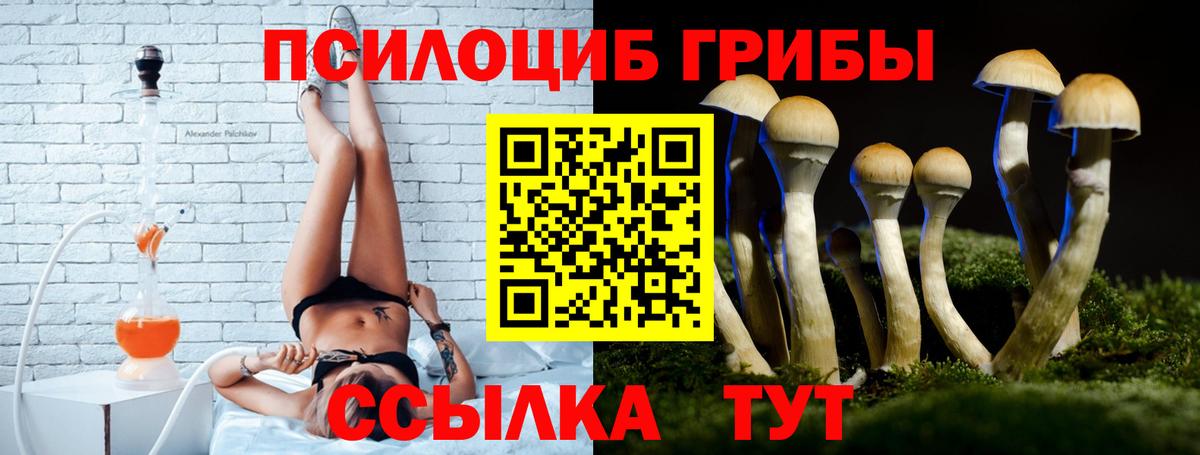 Галлюциногенные грибы GOLDEN TEACHER  Дзержинск  закладка  Галлюциногенные грибы Magic Shrooms 