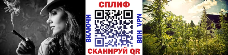 Шишки марихуана тримм Дзержинск